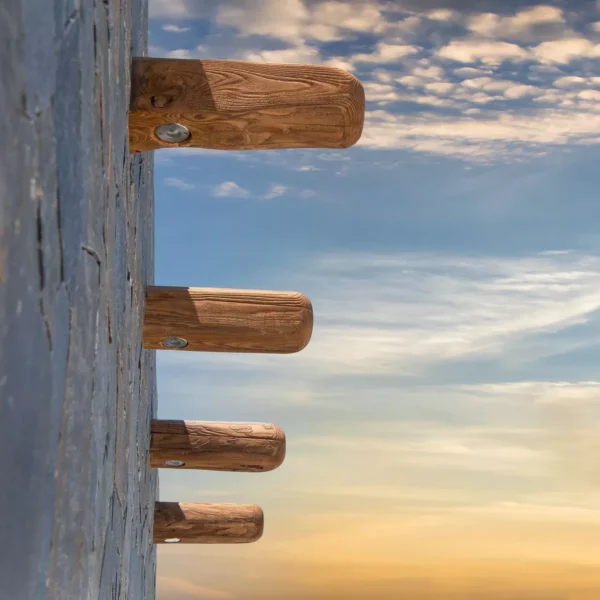 L515944.webp